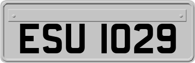 ESU1029