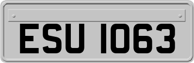 ESU1063
