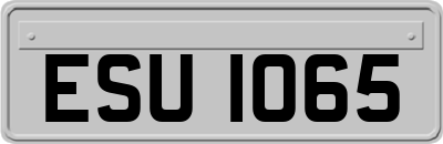 ESU1065