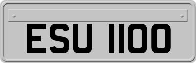 ESU1100