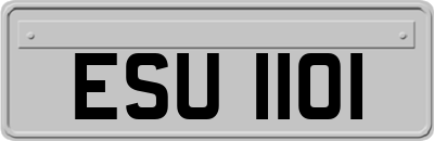 ESU1101