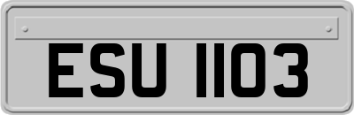 ESU1103