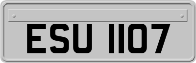 ESU1107