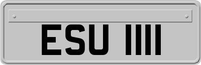 ESU1111