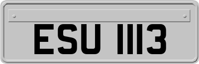 ESU1113