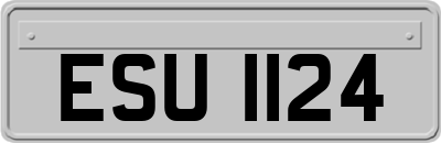 ESU1124