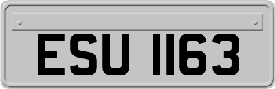 ESU1163