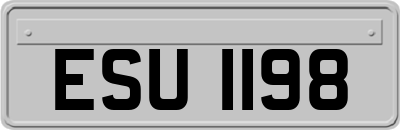 ESU1198