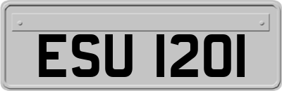 ESU1201