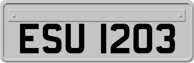 ESU1203