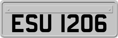 ESU1206