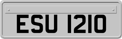 ESU1210