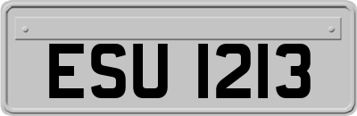 ESU1213