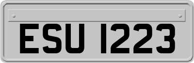 ESU1223