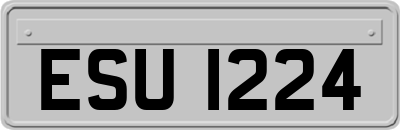 ESU1224