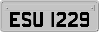 ESU1229