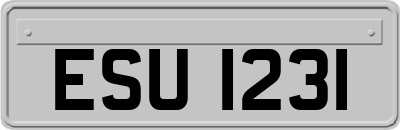 ESU1231