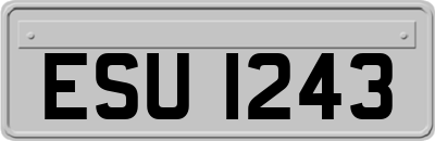 ESU1243