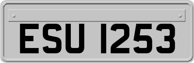 ESU1253
