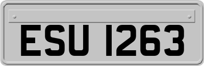 ESU1263