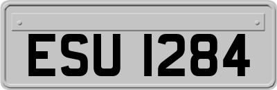 ESU1284