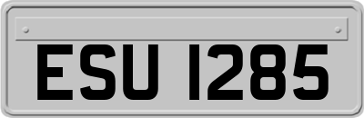 ESU1285