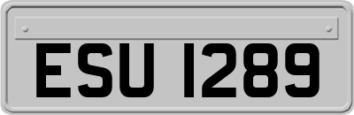 ESU1289