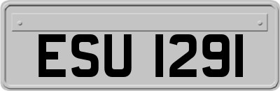 ESU1291