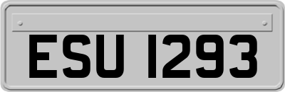 ESU1293