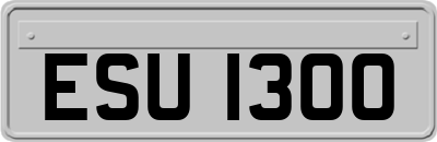 ESU1300