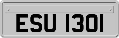 ESU1301