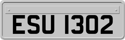 ESU1302