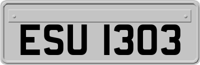 ESU1303