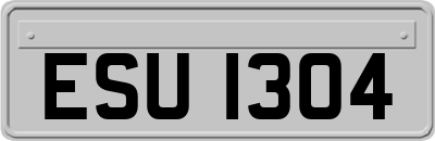 ESU1304