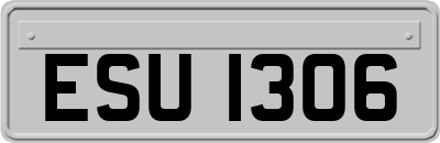 ESU1306