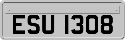 ESU1308