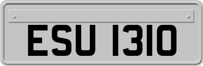 ESU1310