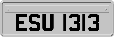 ESU1313