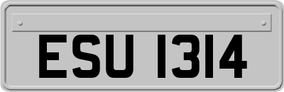 ESU1314