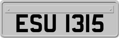 ESU1315