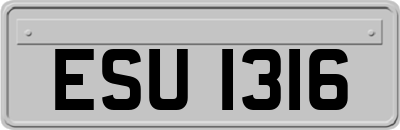 ESU1316