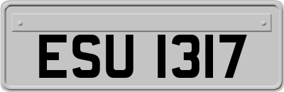 ESU1317