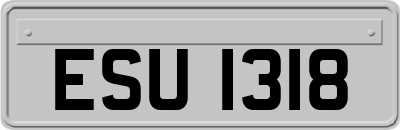 ESU1318