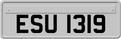 ESU1319