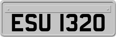 ESU1320