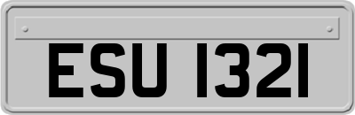 ESU1321
