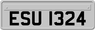 ESU1324