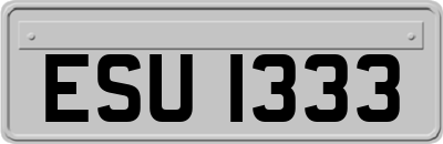 ESU1333