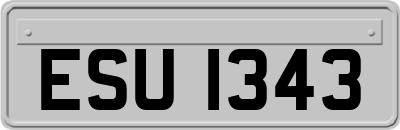 ESU1343