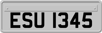 ESU1345